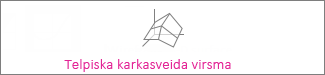 Telpiska karkasveida virsmas diagramma