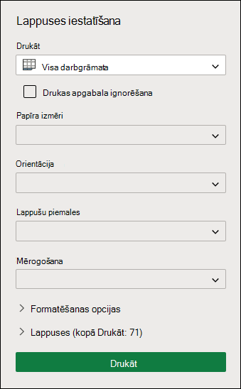 Visas darbgrāmatas drukāšana programmā Excel tīmeklim