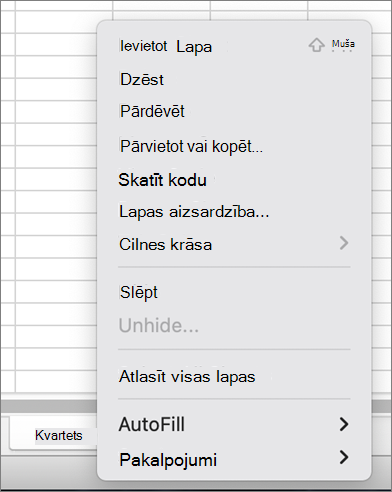 Izvēlne Aizsargāt darbgrāmatu nav pieejama MacOS