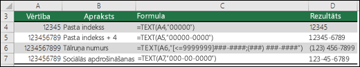 Funkcijas TEXT speciālie formāti