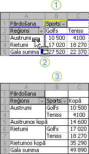 Rakurstabulas atskaites izkārtojuma mainīšanas piemērs