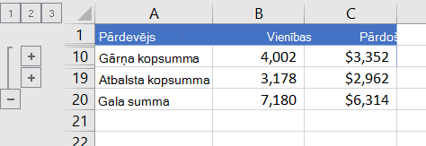 Strukturēts saraksts, kur redzamas tikai kopsummu rindas