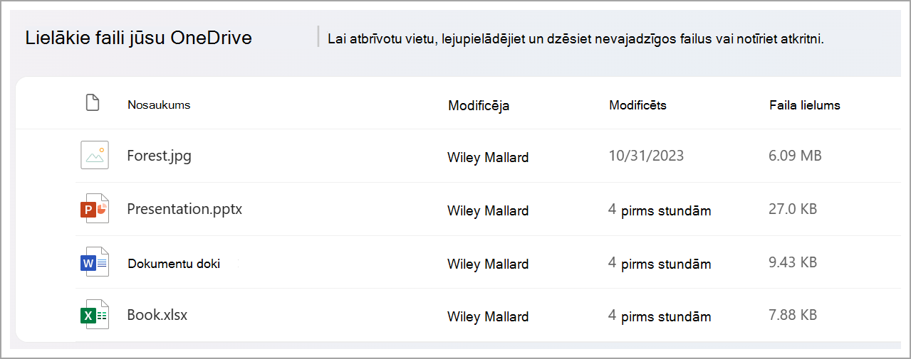 Lielākie faili pakalpojumā OneDrive, kas kārtoti pēc faila lieluma