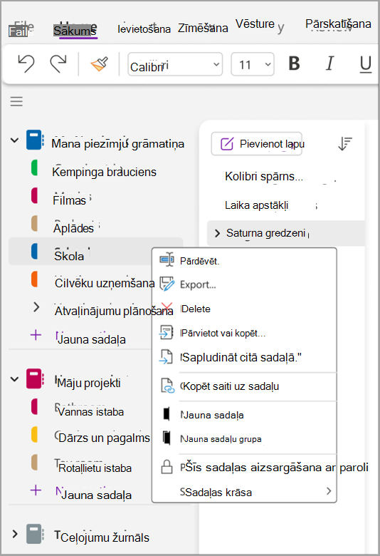 pamatuzdevumu ekrānuzņēmums nine.png
