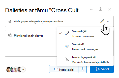 Koplietošanas dialoglodziņš, kurā redzamas koplietojamā faila opcijas.