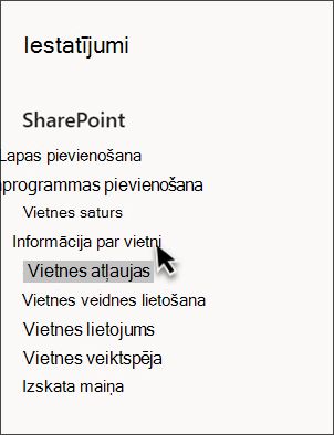 SharePoint iestatījumu ekrānuzņēmums ar atlasītu opciju Vietnes informācija