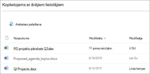 Ekrānuzņēmums ar ārēji kopīgotiem SharePoint failiem. Pirmās kolonnas ikonas ir failu tipi, nākamā kolonna ir faila nosaukums, trešā kolonna tiek rādīta, kad fails pēdējoreiz tika modificēts, un ceturtajā kolonnā tiek rādīts, kas pēdējais modificēja failu.