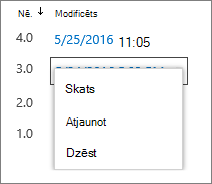 Versiju vēstures opcijas (skatīt, atjaunot, dzēst)