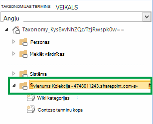 Grupa, kurā ir visas terminu kopas vietņu kolekcijā