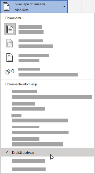 Opcija Drukāt atzīmes