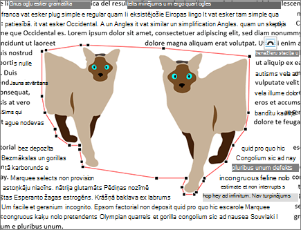 Nerediģēti aplaušanas punkti