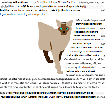 Tikai labās puses aplaušana