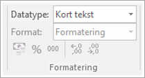 Skjermkodesnutt som viser datatypefeltet