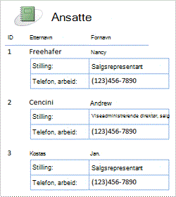 Rapport over ansatte som bruker blandet oppsett
