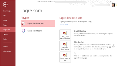 Alternativer for Lagre som database på skjermbildet Lagre som