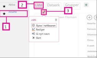 Tilgjengelige visninger for en Access-app