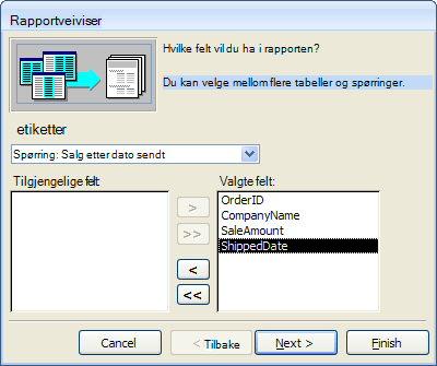 Feltvalg i rapportveiviser