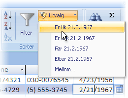 Utvalgsbasert filterliste