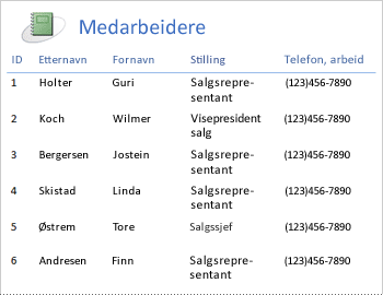 Ansattrapport i et tabelloppsett