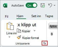 Skjermbilde som viser hvor du finner utklippstavlevelgerboksen i Excel.