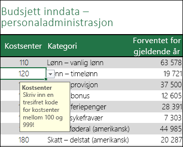 En inndatamelding vises når brukere velger cellen