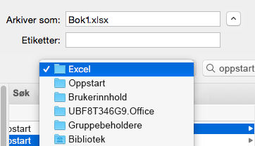 bilde som viser Lagre som-dialogboksen