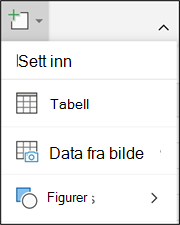 inn data Sett inn data fra bilde-menyen