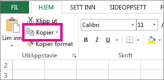 Klikk Kopier i kategorien Hjem