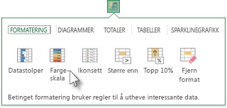 Kategorien Formatering i Hurtiganalyse-galleriet