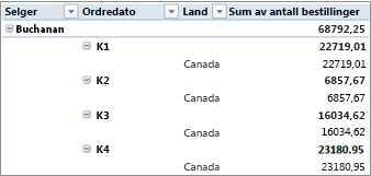 Pivottabell som disposisjon