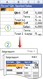 Skrive ut en pivottabellrapport