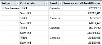 Pivottabell i tabellformat