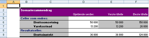 Sammendragsrapport for scenario i Excel