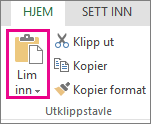 Skjermbilde som viser kommandoen Lim inn i Utklippstavle-gruppen.
