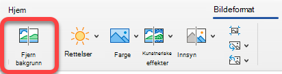 Alternativet Fjern bilde er på Bildeformat-fanen i Office-apper.