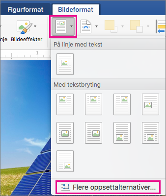 Posisjon og Flere oppsettsalternativer er uthevet på Bildeformat-fanen.
