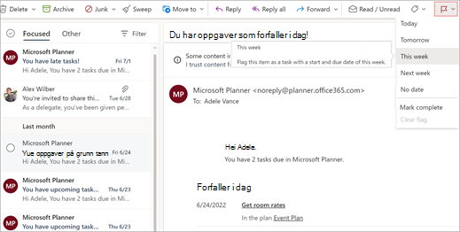 Bilde som viser flaggikonet uthevet på båndet.