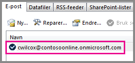 En konto i dialogboksen Kontoinnstillinger i Outlook 2013