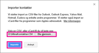 Google Gmail – dialogboksen Importer kontakter