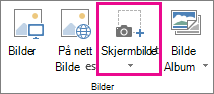 Stort skjermbilde-knappen