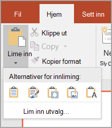 Velg Lim inn utvalg