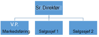 Enkelt organisasjonskart