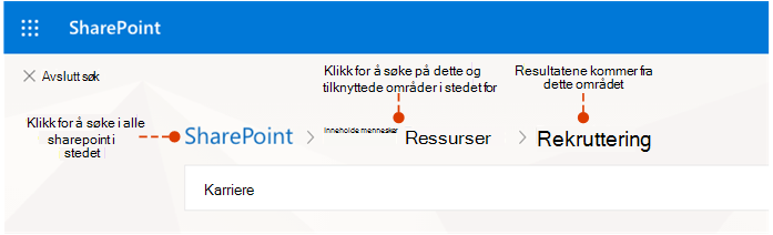Skjermbilde som viser hvor resultatene kommer fra og alternative steder å søke i