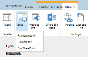 Skjermbilde av SharePoint Online-båndet. Velg deretter Sett inn-fanen, og velg Bilde for å velge om du vil laste opp en fil fra datamaskinen, en nettadresse eller en SharePoint-plassering.