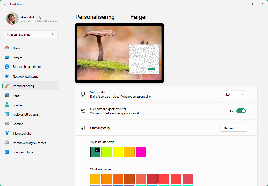 Skjermbilde av Innstillinger-appen som viser alternativet for å tilpasse uthevingsfarger.