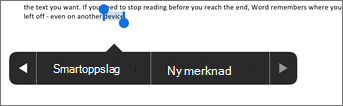 Trykk på Ny kommentar når du har valgt tekst i Word