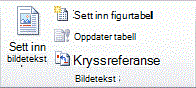 Båndet i Office 14