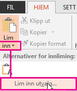 Lim inn spesialmeny