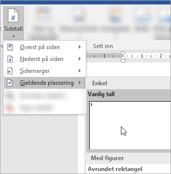 Skjermbilde som viser valg av sidetall i rent format på gjeldende plassering i dokumentet