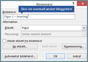 Skriv inn egen tekst for bildetekstene i etikettfeltet.